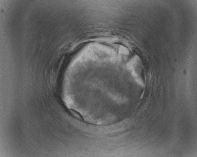 X0000067380043200604281828