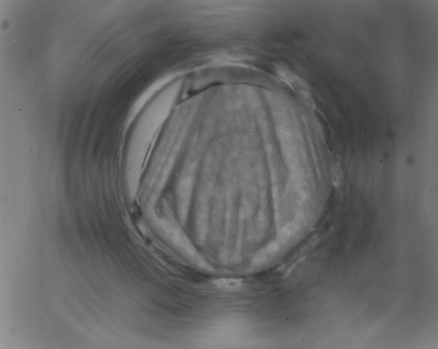 X0000067380052200604281827
