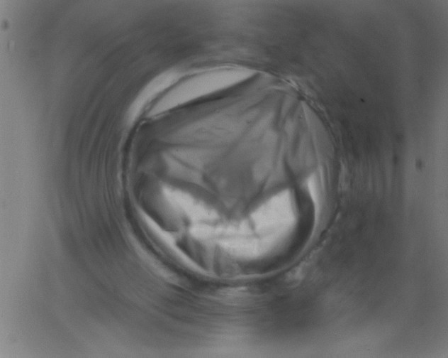 X0000067380054200604281827