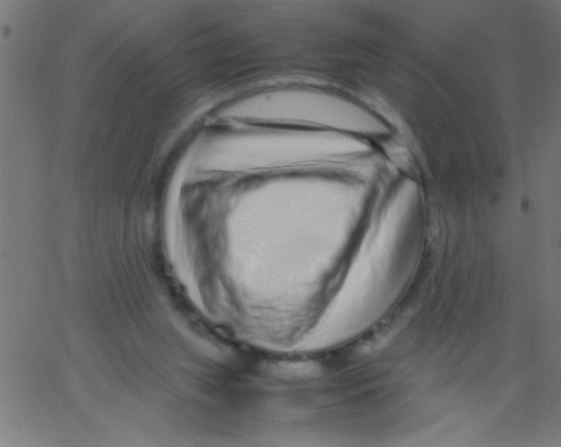 X0000067380063200604281827