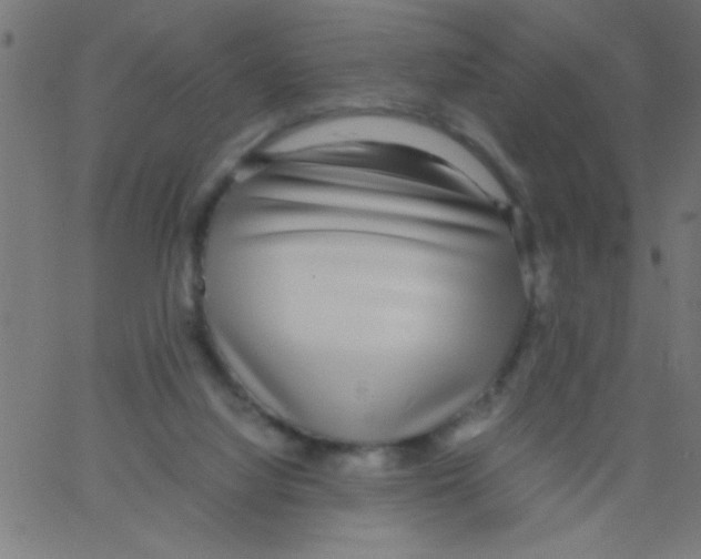 X0000067380068200604281827