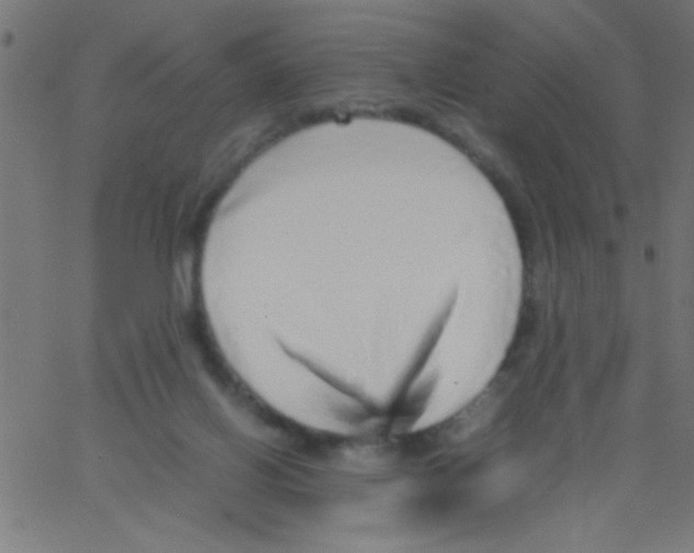 X0000067380070200604281827