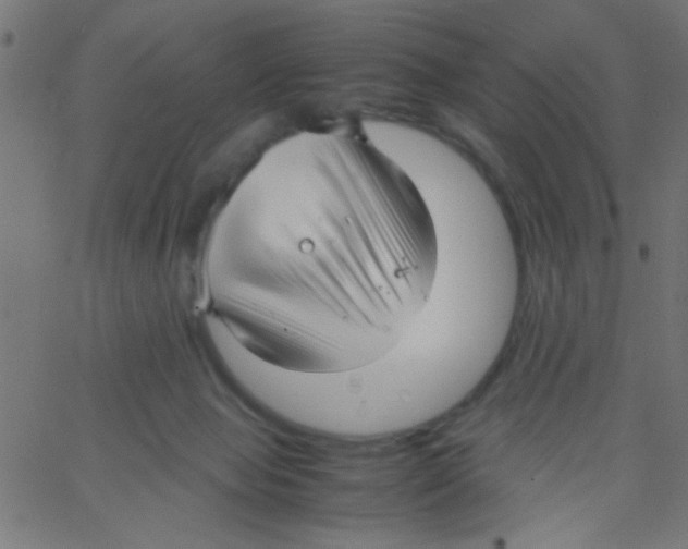 X0000067380077200604281827