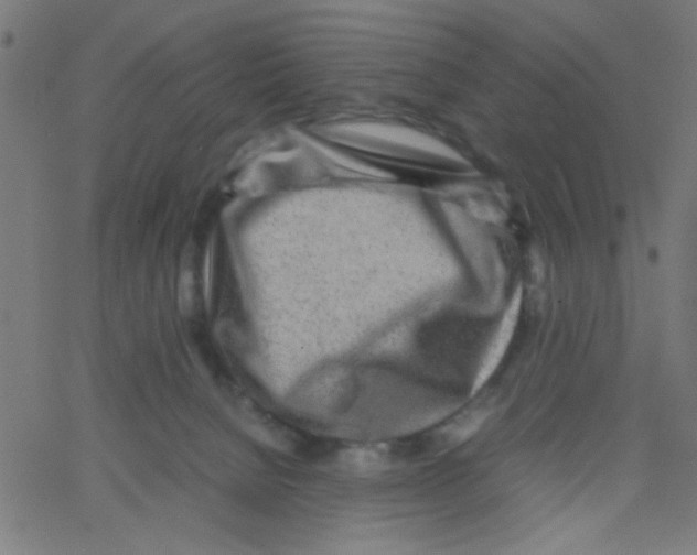 X0000067380080200604281827
