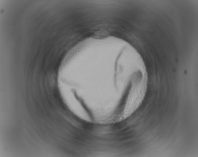 X0000067380081200604281827