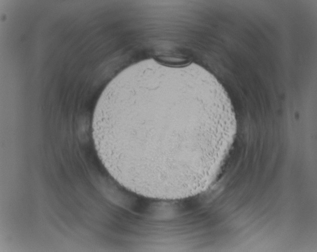X0000067380082200604281827