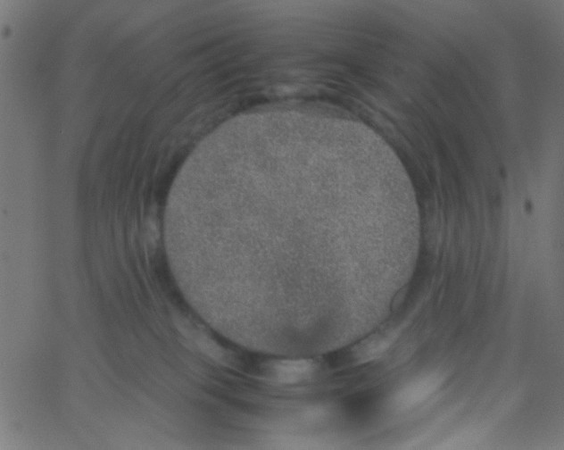 X0000067380085200604281827