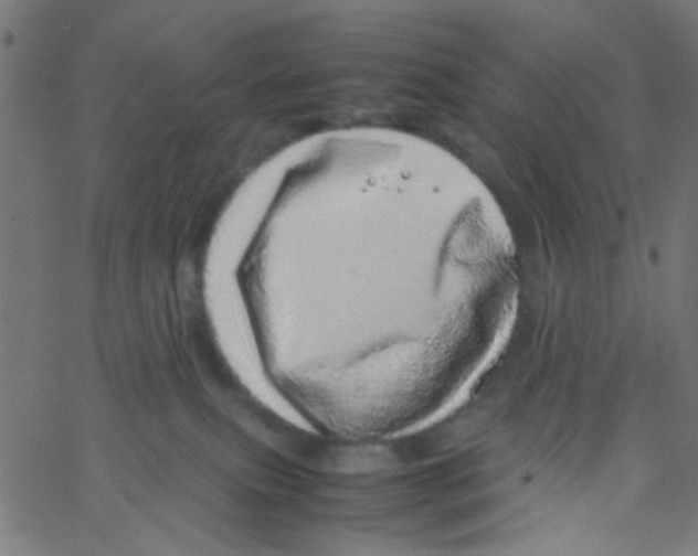 X0000067380087200604281827