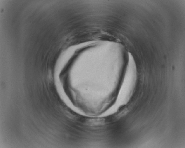 X0000067380089200604281828