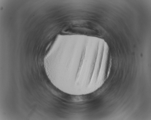 X0000067380091200604281828