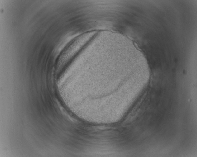 X0000067380098200604281827