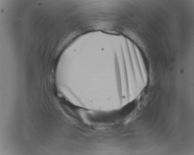 X0000067380105200604281827