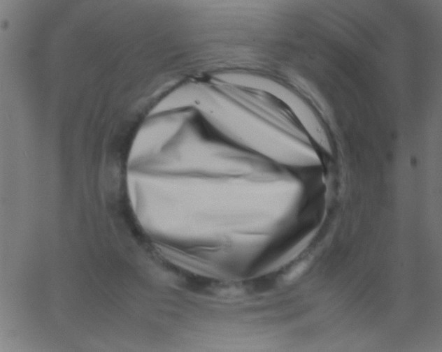 X0000067380113200604281827
