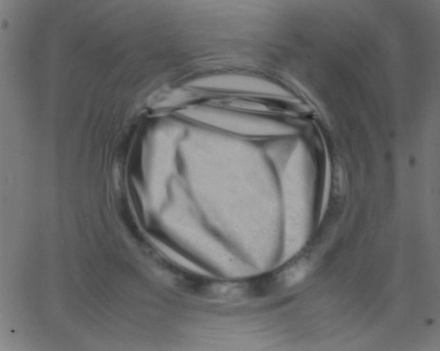 X0000067380117200604281827