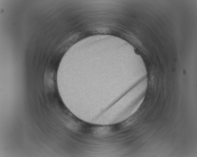 X0000067380122200604281826