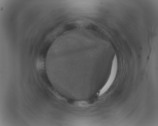X0000067380137200604281826
