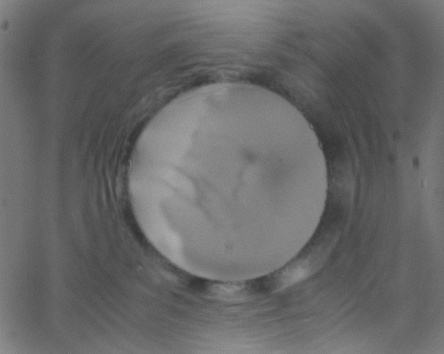 X0000067380139200604281826