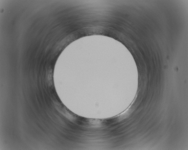 X0000067380144200604281826