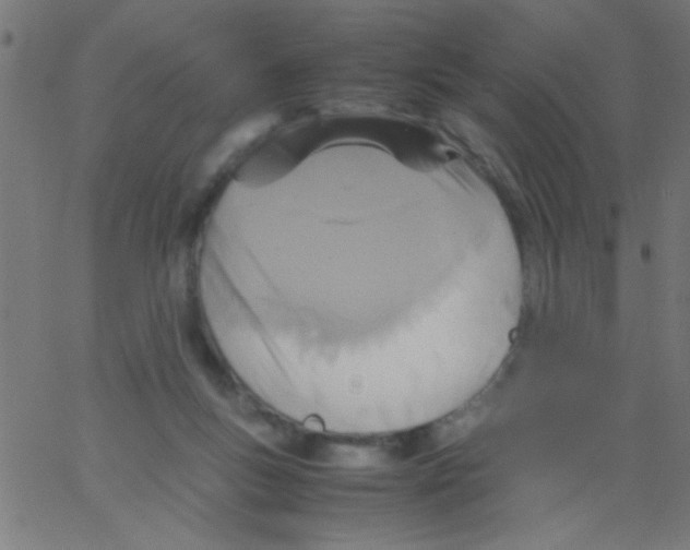 X0000067380167200604281826