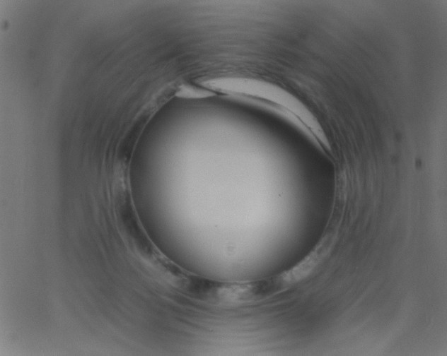 X0000067380172200604281826