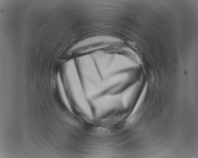 X0000067380180200604281826