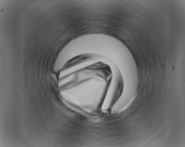 X0000067380187200604281826