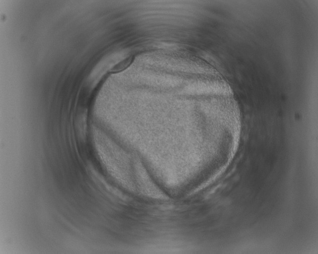 X0000067380194200604281825