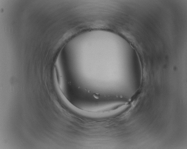 X0000067380201200604281825