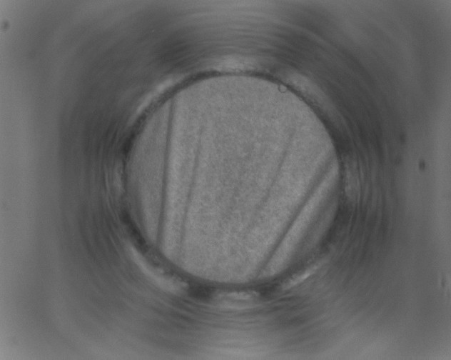 X0000067380208200604281825