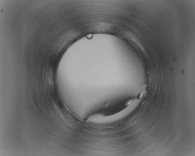 X0000067380212200604281825
