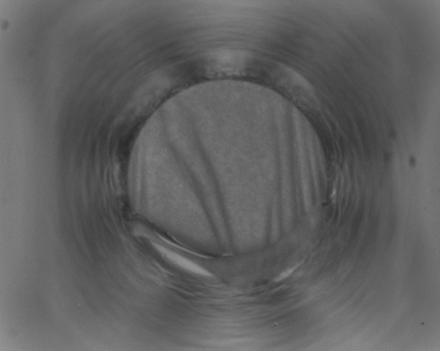 X0000067380224200604281825