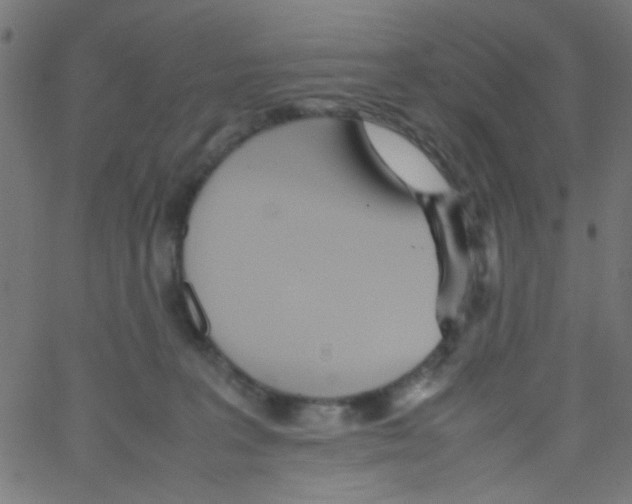 X0000067380227200604281825