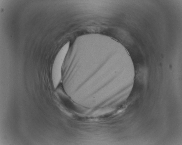 X0000067380233200604281825