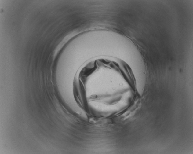 X0000067380244200604281824