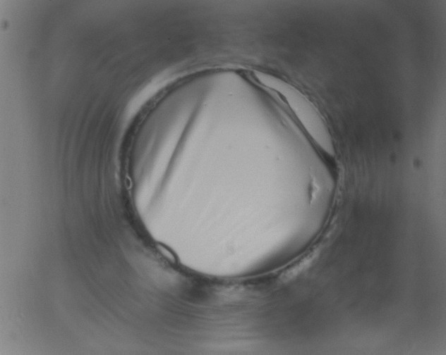 X0000067380246200604281824