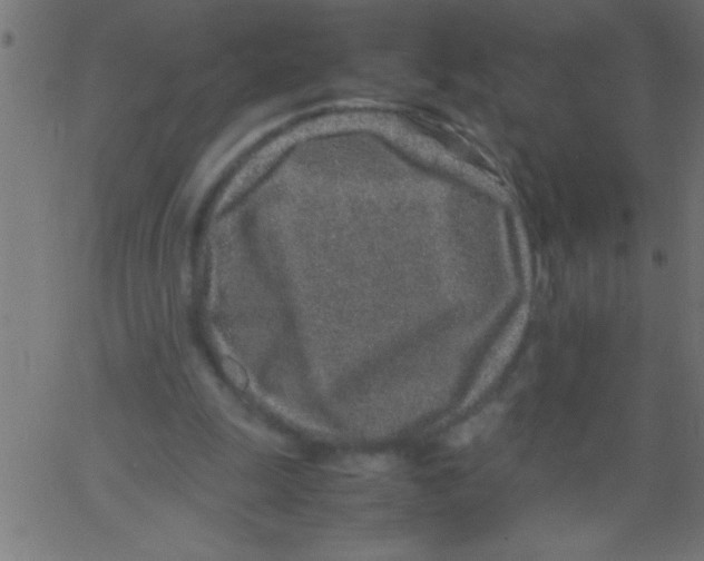 X0000067380247200604281824