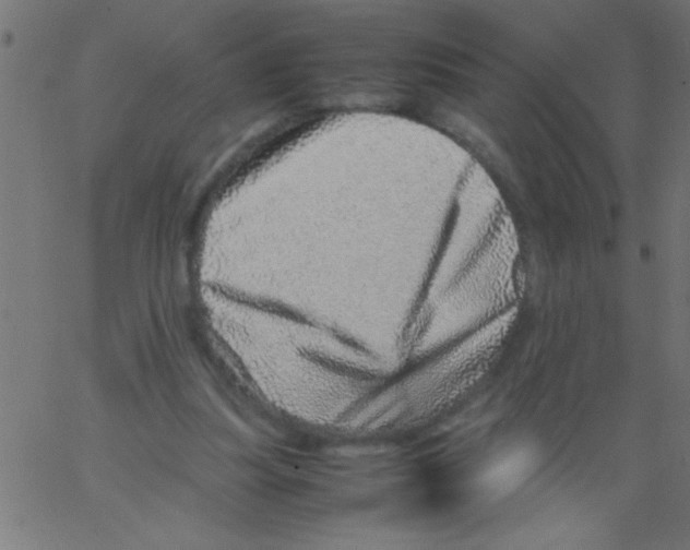 X0000067380251200604281824