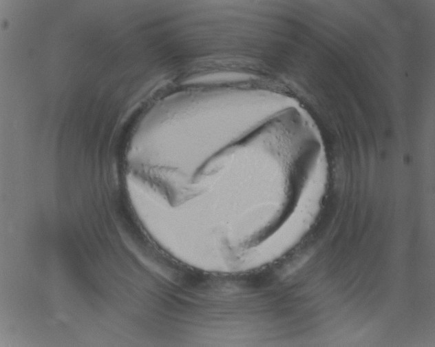 X0000067380254200604281824