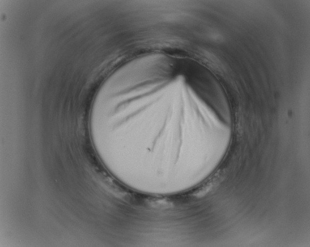 X0000067380258200604281824