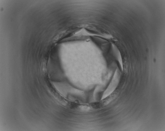 X0000067380272200604281824