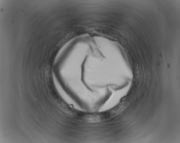 X0000067380275200604281824
