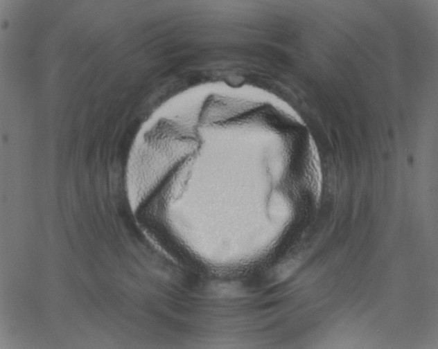 X0000067380283200604281824