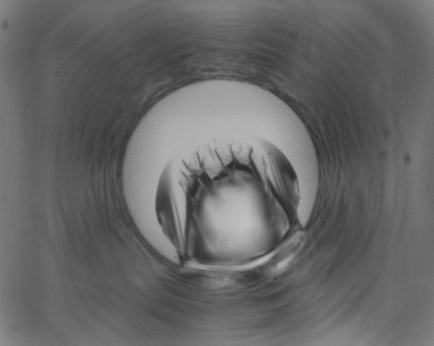X0000067380287200604281824