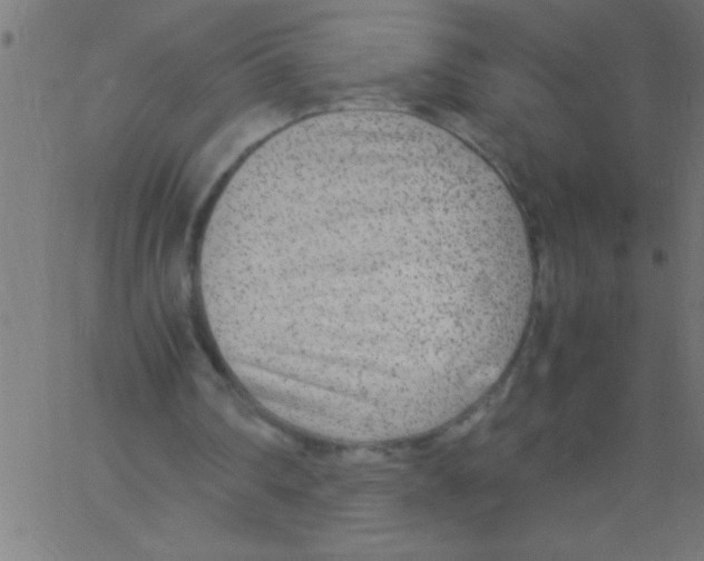 X0000067380290200604281824