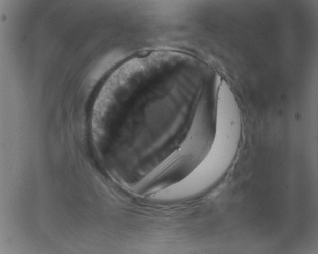 X0000067380295200604281824