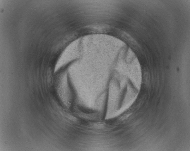 X0000067380318200604281823