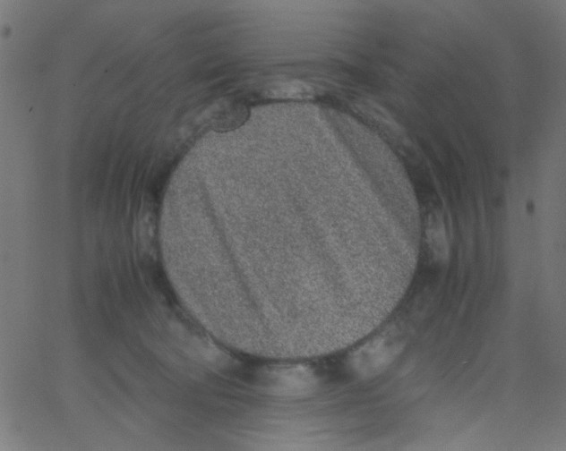 X0000067380322200604281823