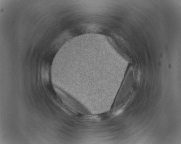 X0000067380334200604281823