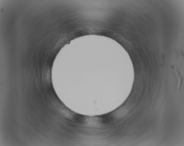 X0000067380336200604281823