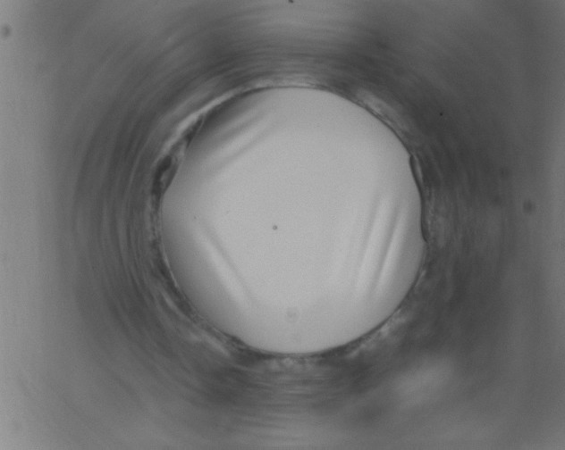 X0000067380338200604281822